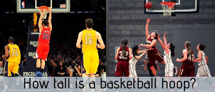 how tall is a basketball hoop