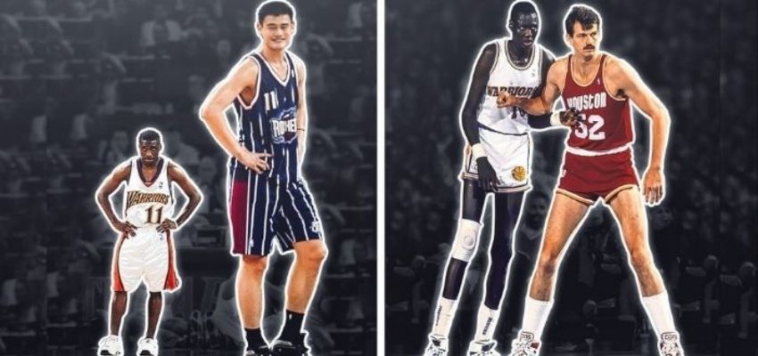 Average Height of NBA Players