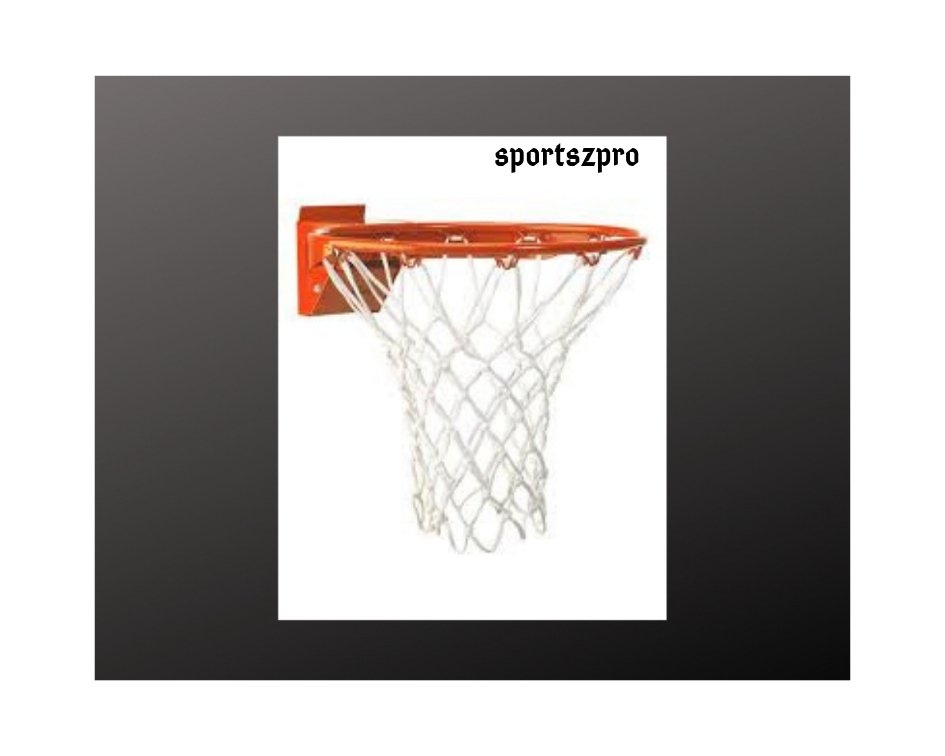 enclosed spring breakaway rim enclosed spring breakaway rim